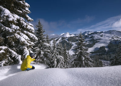 Les-Gets-OT-snow-trees