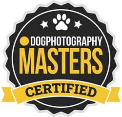 dog-photography-mastersr