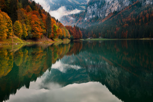 montriond-lake-reflection-autumn