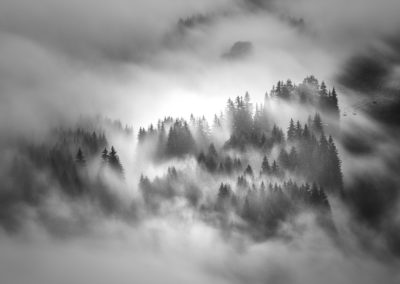 fog-b&w-chairlift-trees