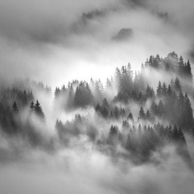 fog-b&w-chairlift-trees