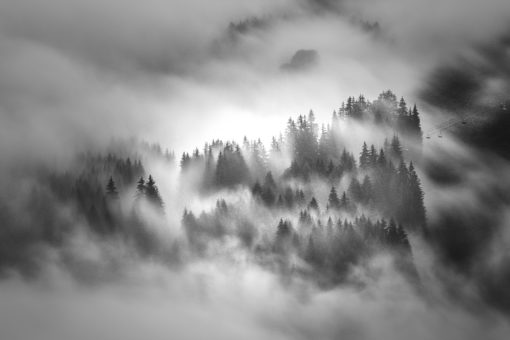 fog-b&w-chairlift-trees