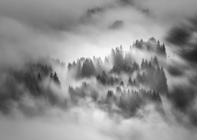 blackandwhiteawards-monochrome-competition-photography-fineart
