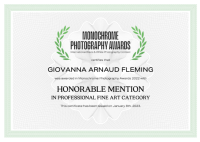 mono-chrome-awards-honorable-mention-fineart