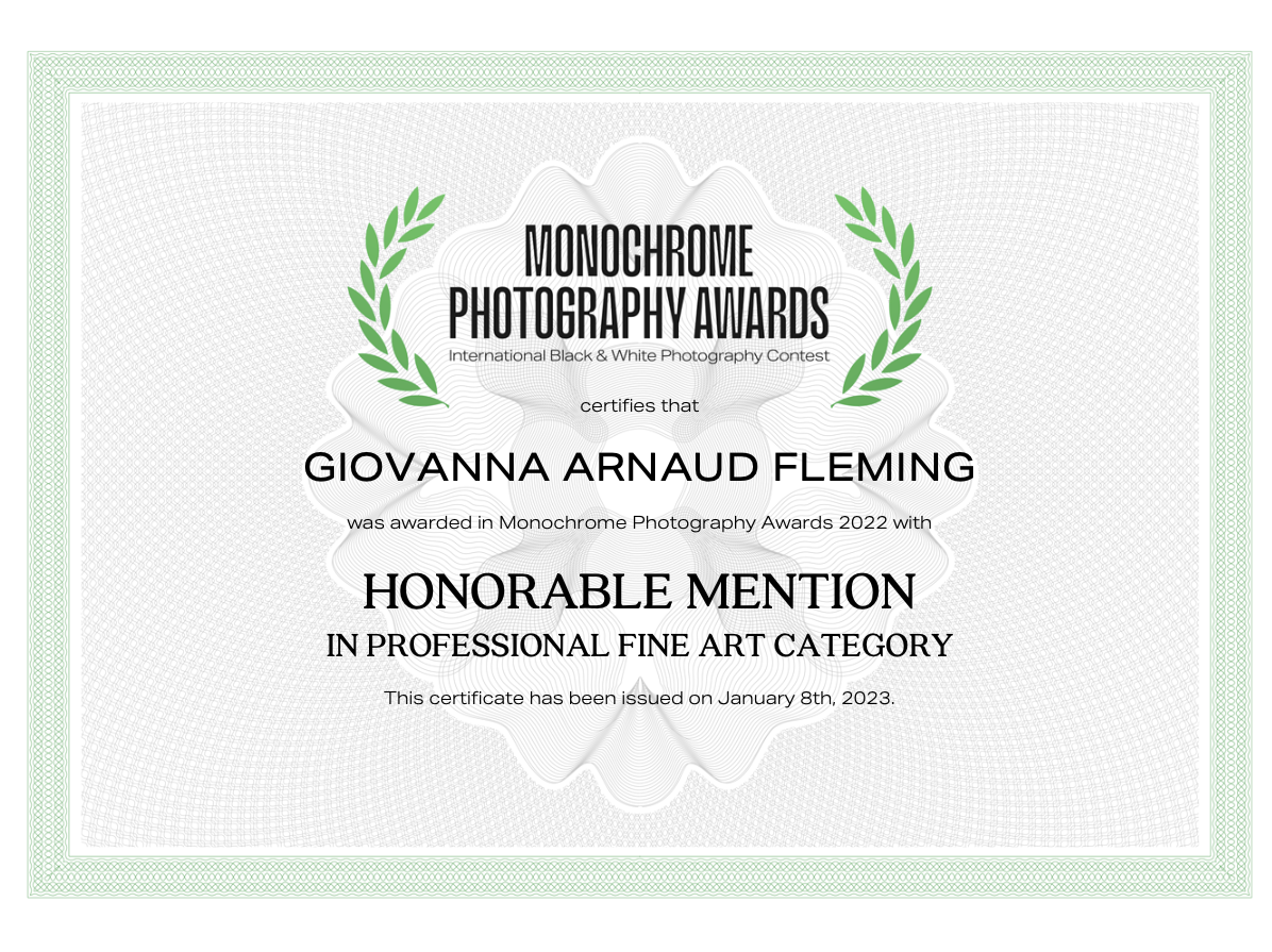 mono-chrome-awards-honorable-mention-fineart