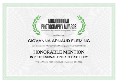 mono-chrome-awards-honorable-mention-fineart