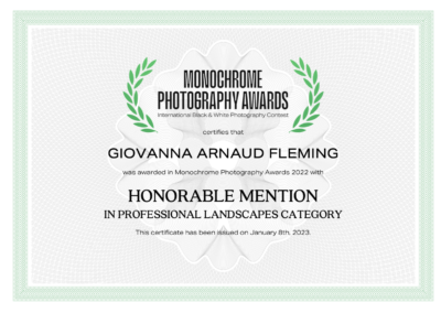 mono-chrome-awards-honorable-mention-landscapes