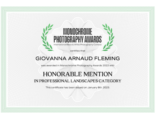 mono-chrome-awards-honorable-mention-landscapes