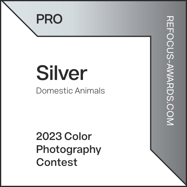 Silver-White_Background