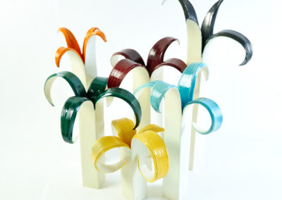 fiori_bianco_gruppo