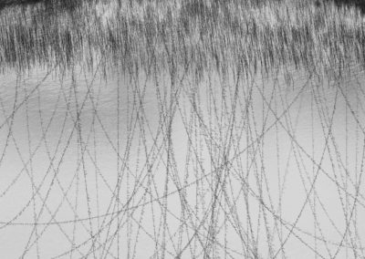 TANGLE