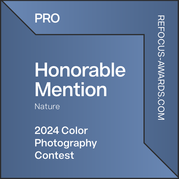 mono-chrome-awards-honorable-mention-landscapes